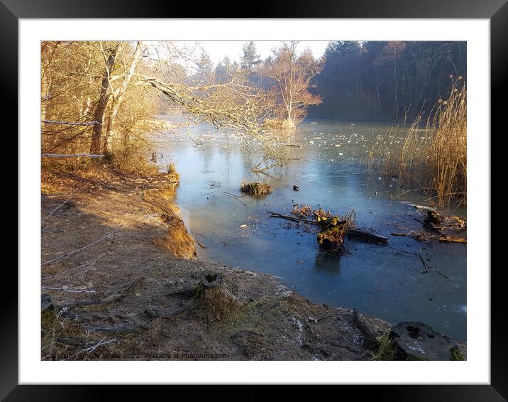 Ice and early morning sunlight on pond  Framed Mounted Print by Sally Wallis