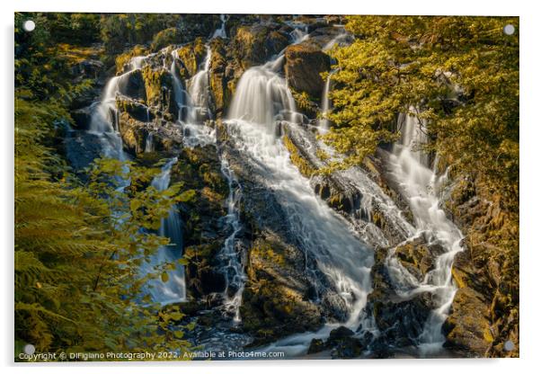 Swallow Falls Acrylic by DiFigiano Photography