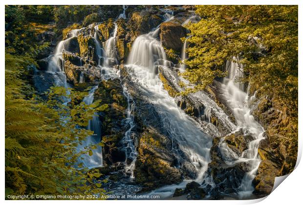 Swallow Falls Print by DiFigiano Photography
