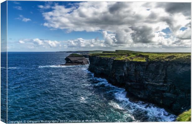 The Cliffs of Kilkee Canvas Print by DiFigiano Photography