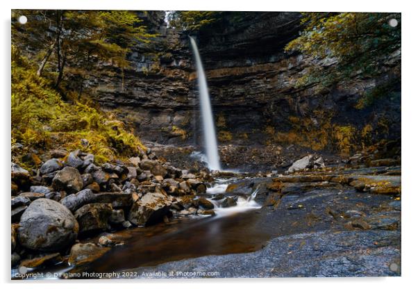 Autumn at Hardraw Force Acrylic by DiFigiano Photography