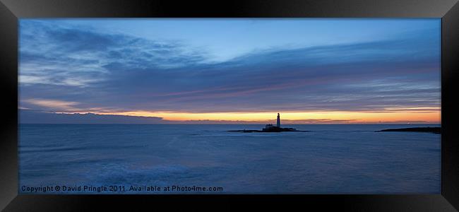 St Mary’s Lighthouse Sunrise Framed Print by David Pringle