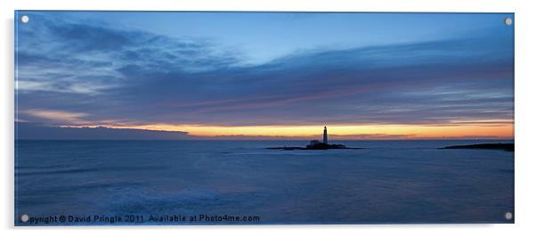 St Mary’s Lighthouse Sunrise Acrylic by David Pringle