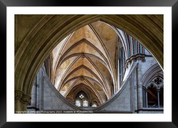 Salisbury Arches Framed Mounted Print by DiFigiano Photography