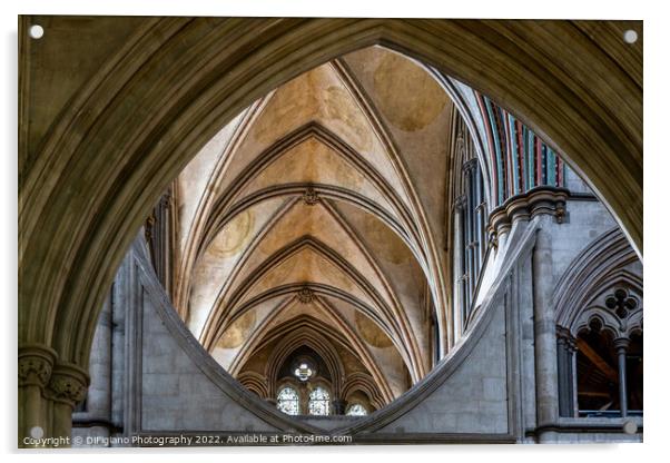 Salisbury Arches Acrylic by DiFigiano Photography