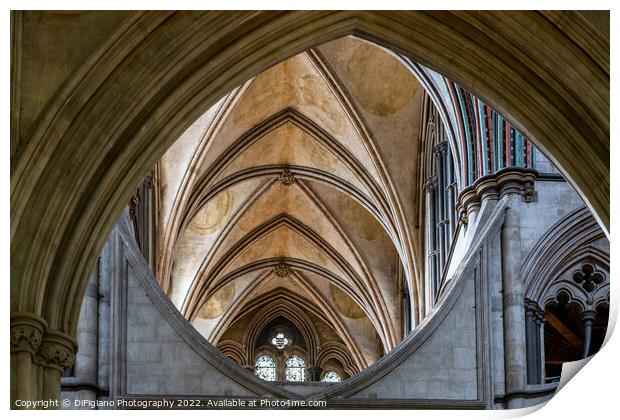 Salisbury Arches Print by DiFigiano Photography
