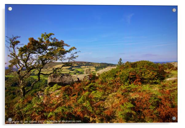 Bowerman’s Nose Tor. Acrylic by Ian Stone