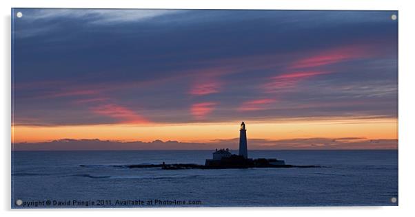 St Mary’s Lighthouse Sunrise Acrylic by David Pringle