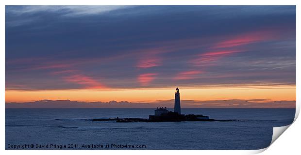 St Mary’s Lighthouse Sunrise Print by David Pringle