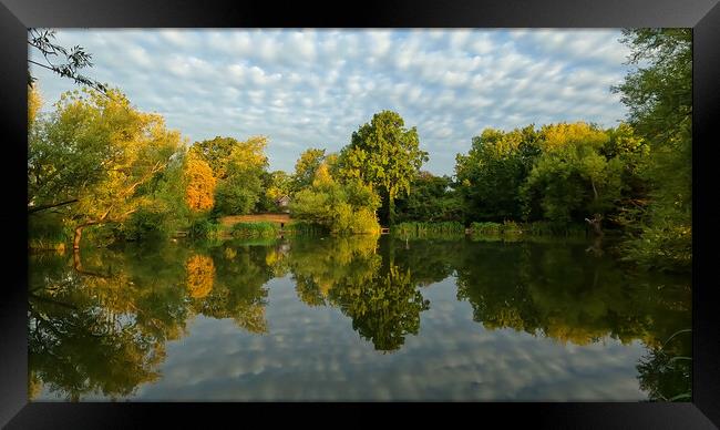 Long Copse Pond Framed Print by Clive Eariss