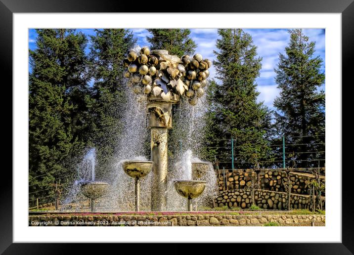 Grape Fountain Framed Mounted Print by Donna Kennedy