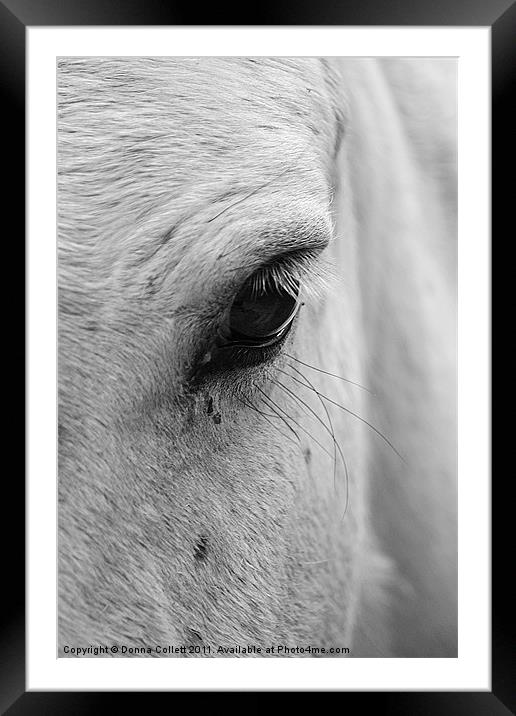 Eye Eye Framed Mounted Print by Donna Collett