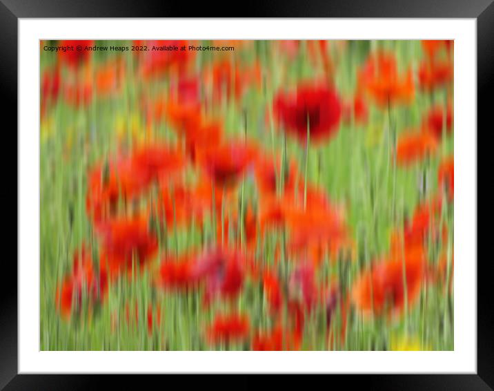 Vibrant Red Poppies in Motion Framed Mounted Print by Andrew Heaps