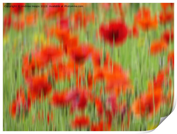 Vibrant Red Poppies in Motion Print by Andrew Heaps