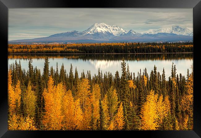 View to mount Wrangell and Zanetti Framed Print by Gail Johnson