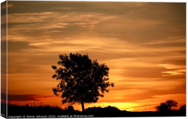 tree silhouette and sunrise  Canvas Print by Simon Johnson