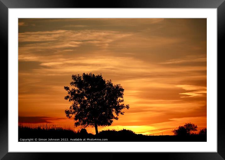 tree silhouette and sunrise  Framed Mounted Print by Simon Johnson