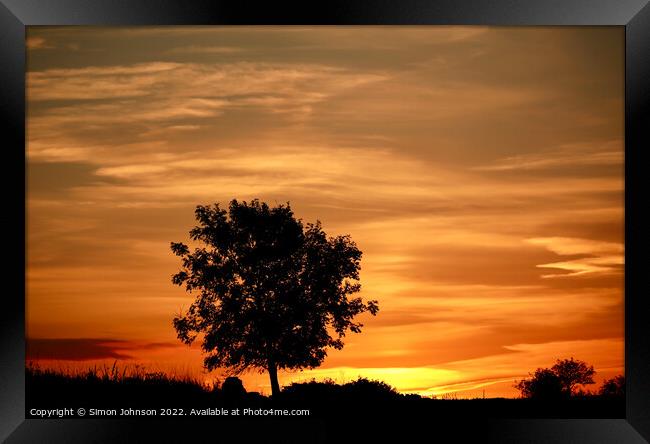 tree silhouette and sunrise  Framed Print by Simon Johnson