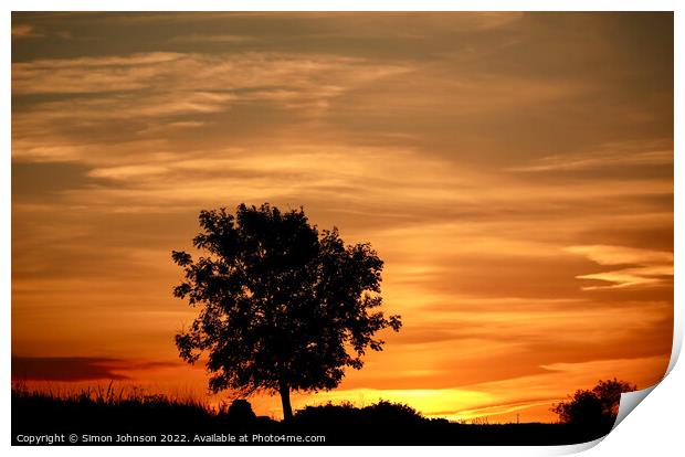 tree silhouette and sunrise  Print by Simon Johnson
