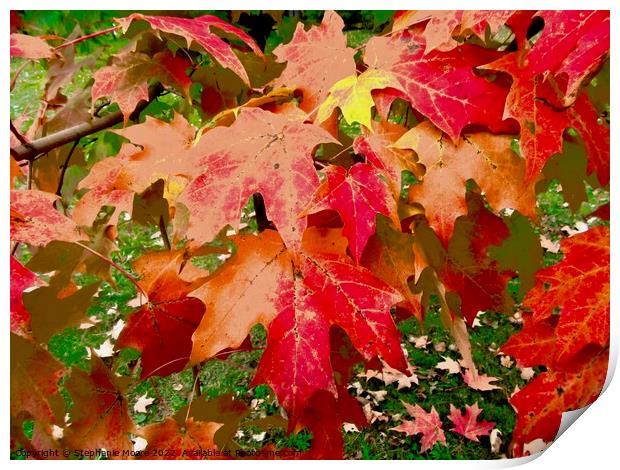 Red Maple Leaves Print by Stephanie Moore