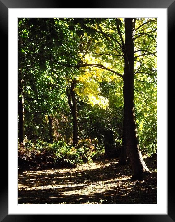 Fall in the park Framed Mounted Print by Stephanie Moore