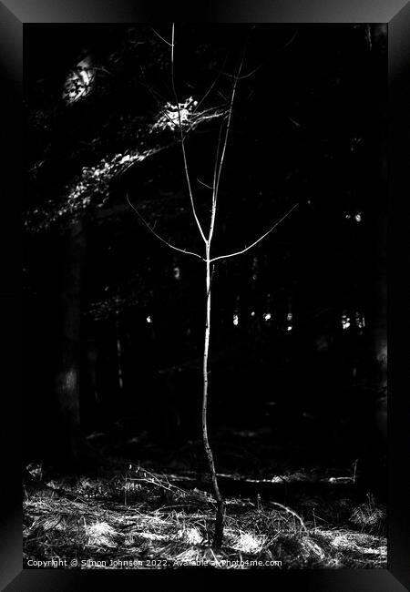 sunlit stick man Framed Print by Simon Johnson