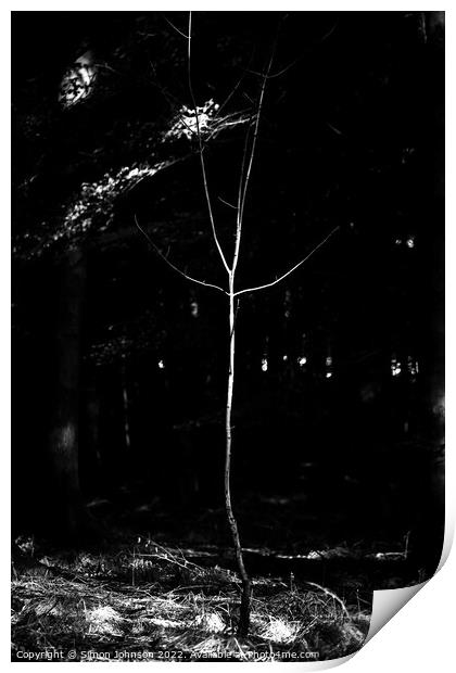 sunlit stick man Print by Simon Johnson