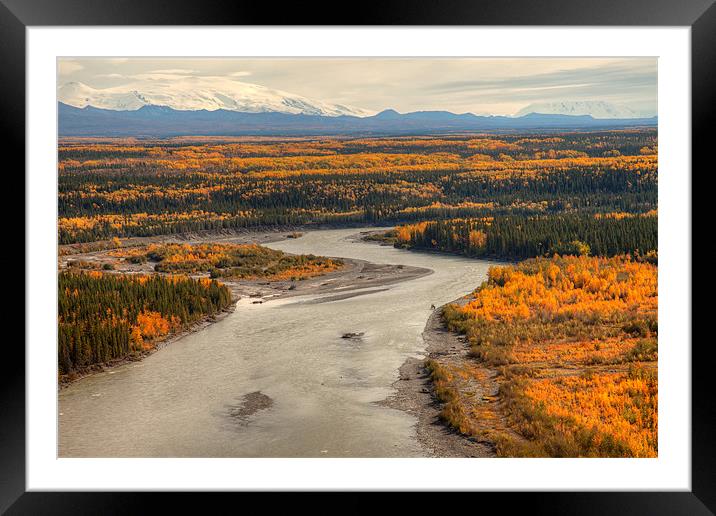 View to mount Wrangell and Zanetti Framed Mounted Print by Gail Johnson