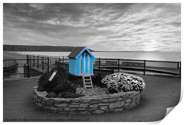 Filey Bathing Machine Colour Selection  Print by Alison Chambers