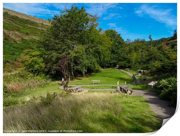 Picnic Area  Print by Jane Metters