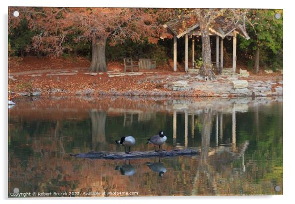 Canadian Geese on a log in the fall on a pond Acrylic by Robert Brozek