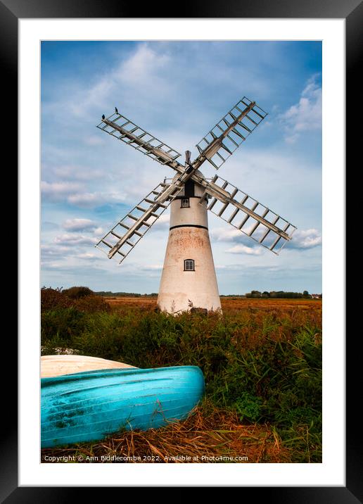 Windmill in the Norfolk broads Framed Mounted Print by Ann Biddlecombe