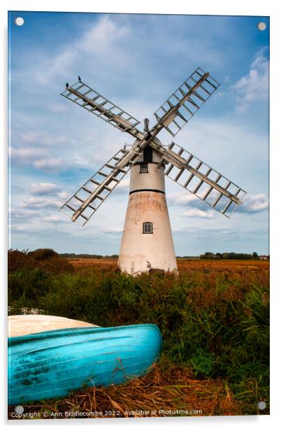 Windmill in the Norfolk broads Acrylic by Ann Biddlecombe