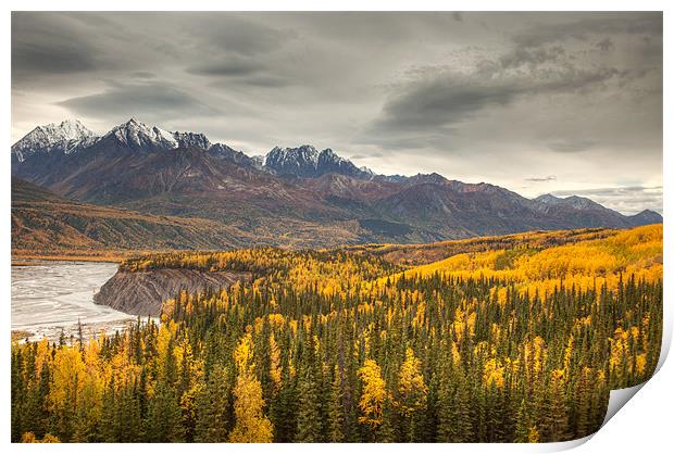 View to mount Wrangell and Zanetti Print by Gail Johnson