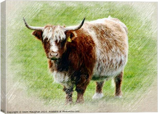 Highland Cow (Pastel Digital Art) Canvas Print by Kevin Maughan