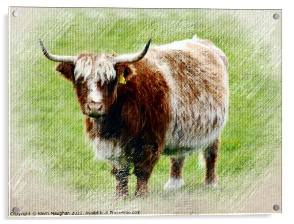 Highland Cow (Pastel Digital Art) Acrylic by Kevin Maughan