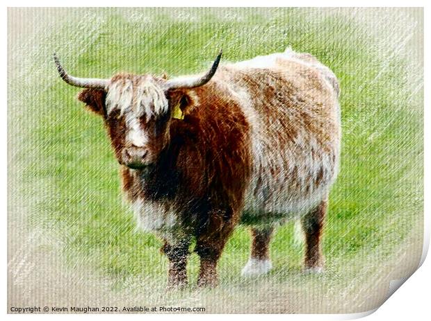 Highland Cow (Pastel Digital Art) Print by Kevin Maughan