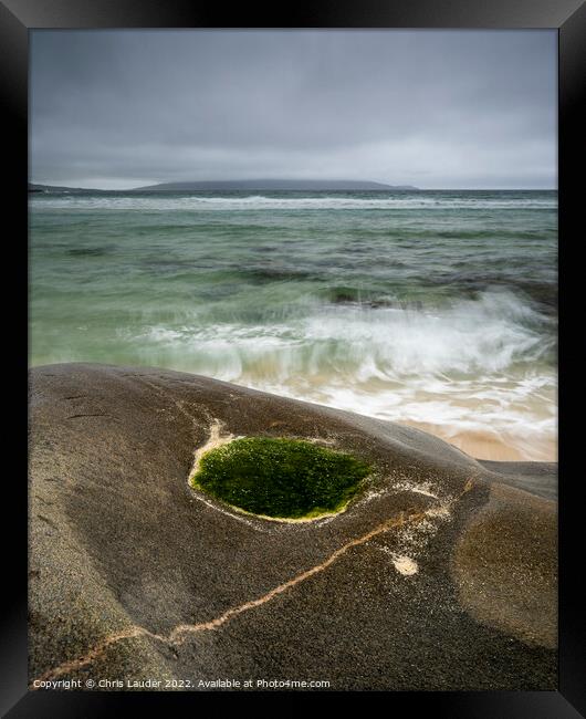 Enchanting Green Seaweed Oasis Framed Print by Chris Lauder