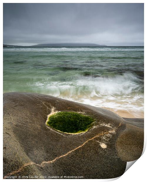 Enchanting Green Seaweed Oasis Print by Chris Lauder