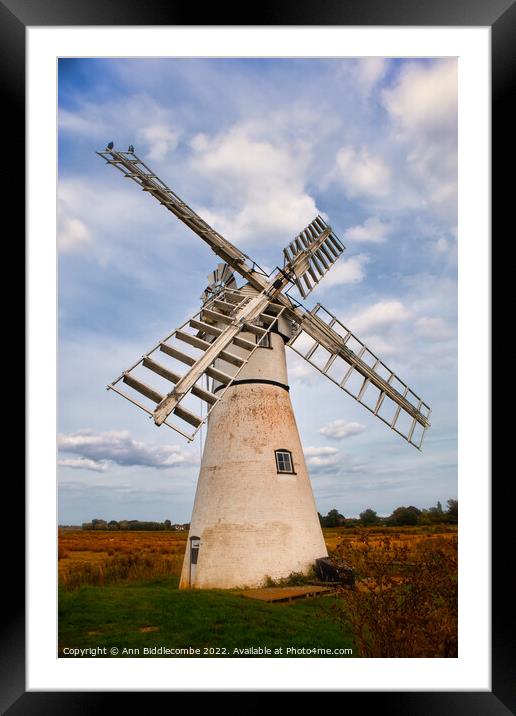 Windmill in the Norfolk Broards Framed Mounted Print by Ann Biddlecombe