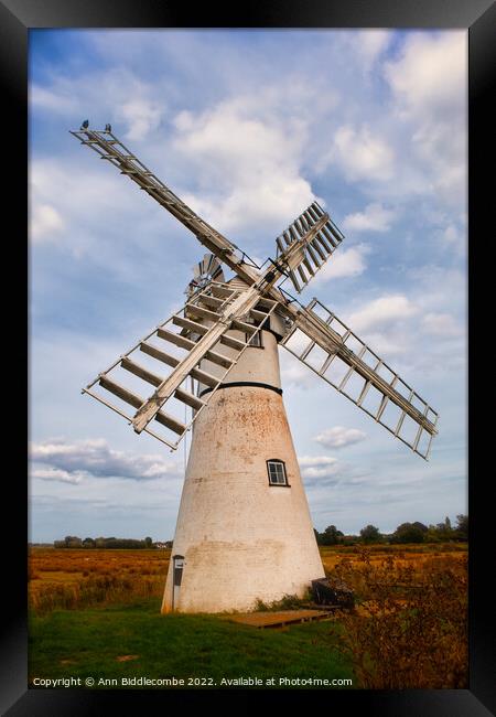 Windmill in the Norfolk Broards Framed Print by Ann Biddlecombe