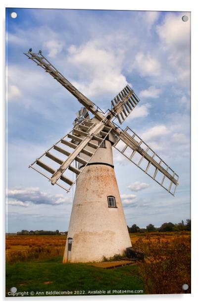 Windmill in the Norfolk Broards Acrylic by Ann Biddlecombe