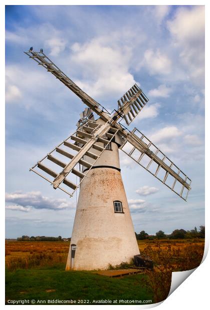Windmill in the Norfolk Broards Print by Ann Biddlecombe