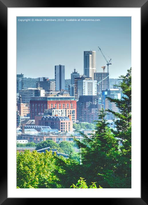 Leeds Cityscape Portrait  Framed Mounted Print by Alison Chambers