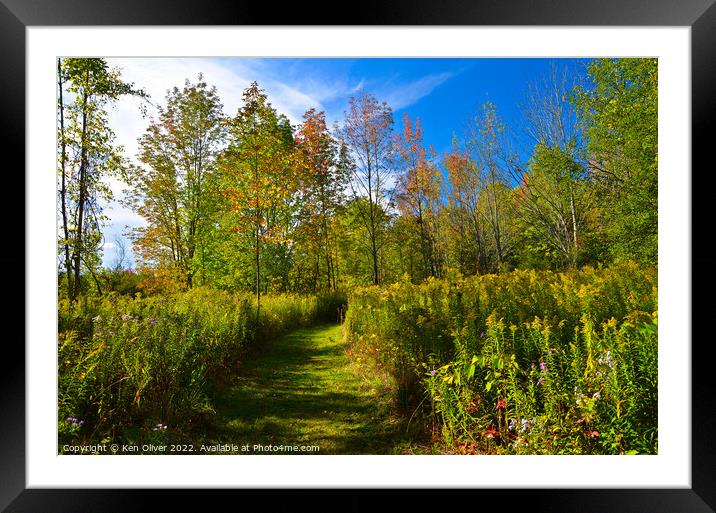 "Autumn Symphony" Framed Mounted Print by Ken Oliver