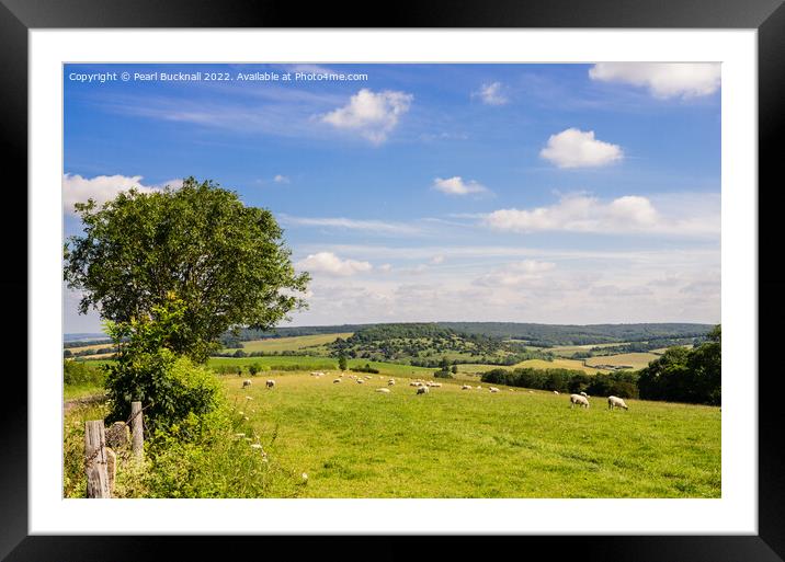 Country Scene South Downs Sussex Framed Mounted Print by Pearl Bucknall