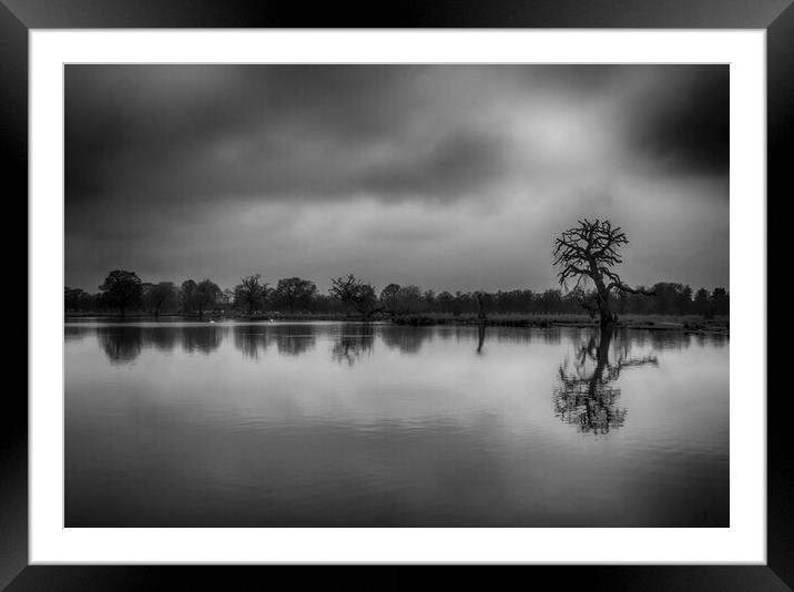Winters Mood Framed Mounted Print by Clive Eariss