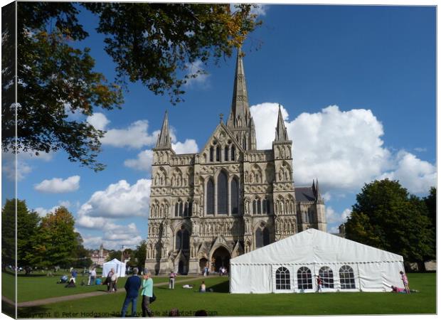 Salisbury Cathedral  Sky Canvas Print by Peter Hodgson