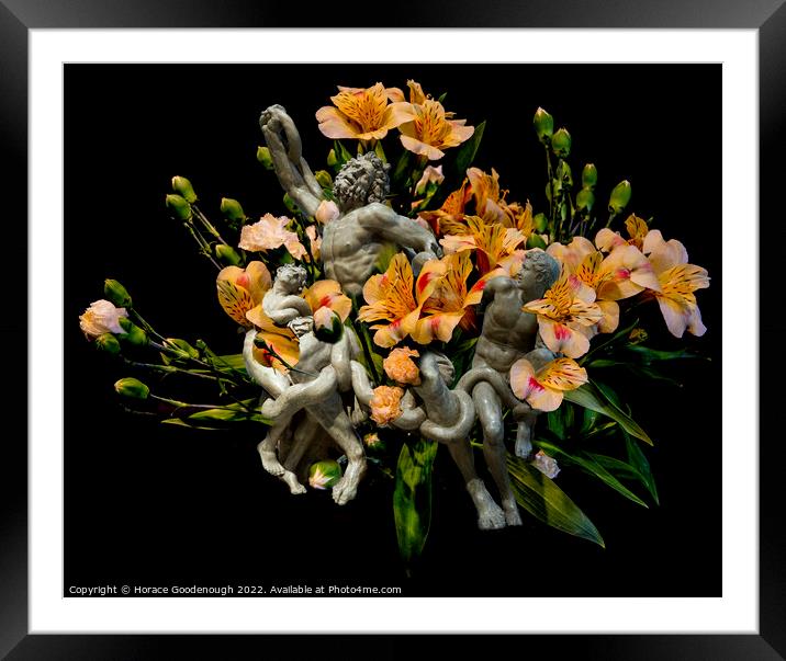 Hiding in the Flowers Framed Mounted Print by Horace Goodenough