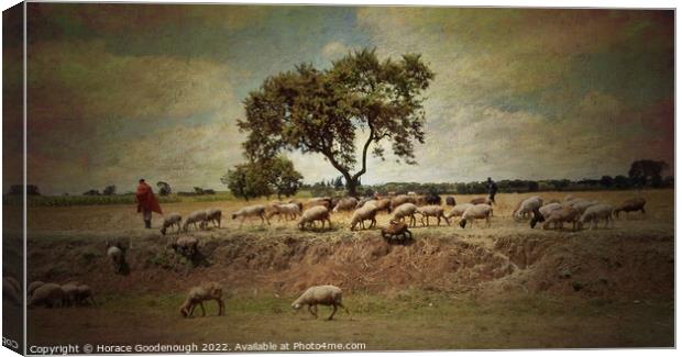 The Goat herder Canvas Print by Horace Goodenough